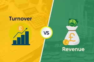 turnover vs revenue