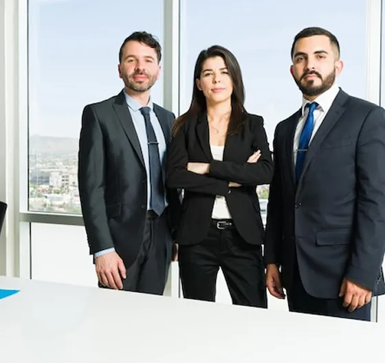 accountant calculating company