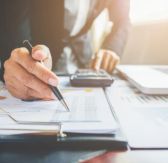 accountant using financial software