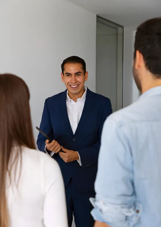 professional tax consulting