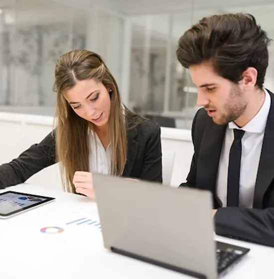 tax advisor consulting client